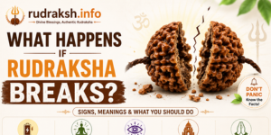 uploads/blog/89321919403186a01bd7401619rudraksha breaks.png